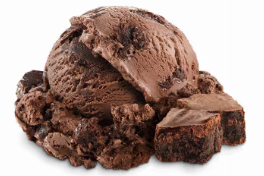 Chocolate Fudge Brownie