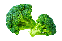 BROCOLI