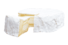 CAMEMBERT