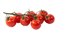 KIRSCHTOMATEN