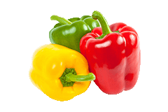 PAPRIKA