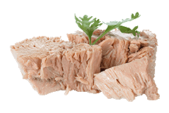 THUNFISCH
